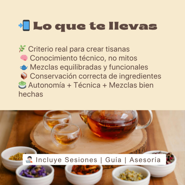 Aprende Tisanas Herbales, Florales y Frutales