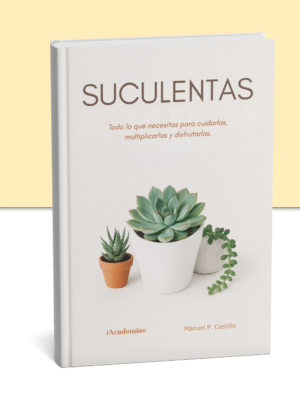 Aprende Cultivo de Suculentas