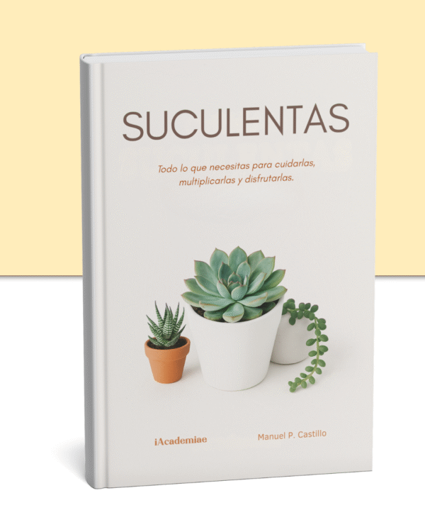 Aprende Cultivo de Suculentas