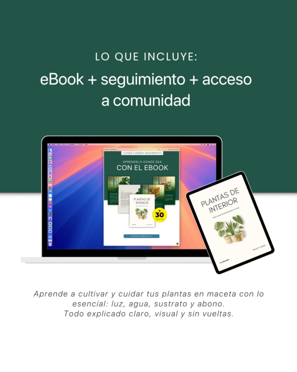 Aprende Cultivo de Plantas en Casa