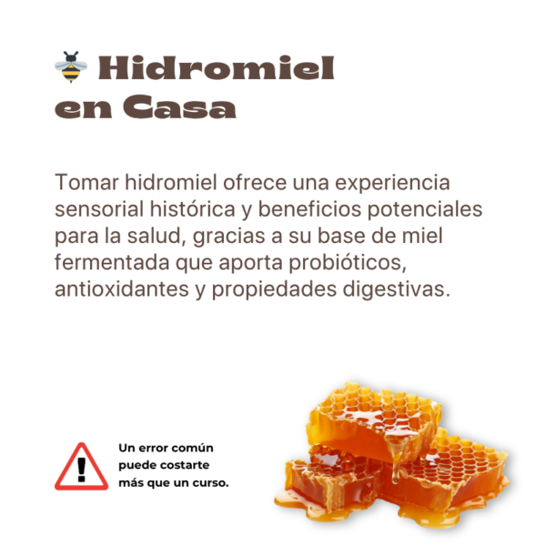 Haz Hidromiel Artesanal