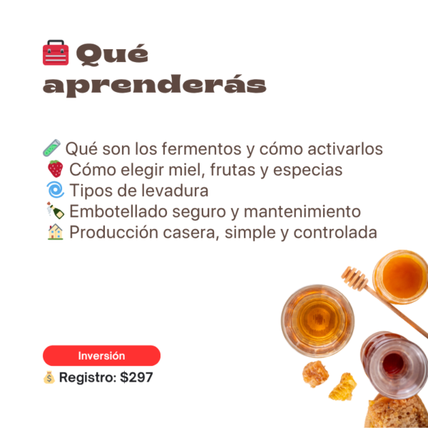 Haz Hidromiel Artesanal