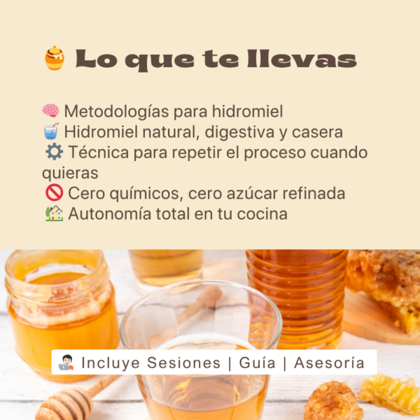 Haz Hidromiel Artesanal