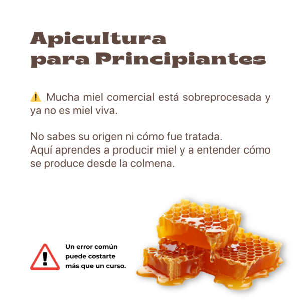 Descubre la Apicultura: Cría Abejas y Produce tu Propia Miel