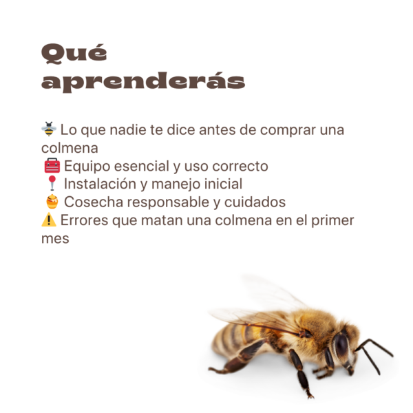 Descubre la Apicultura: Cría Abejas y Produce tu Propia Miel