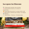 Descubre la Apicultura: Cría Abejas y Produce tu Propia Miel