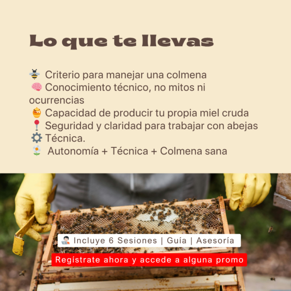 Descubre la Apicultura: Cría Abejas y Produce tu Propia Miel