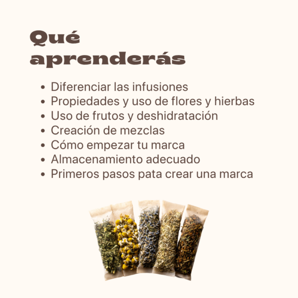 rea tu marca de tisanas