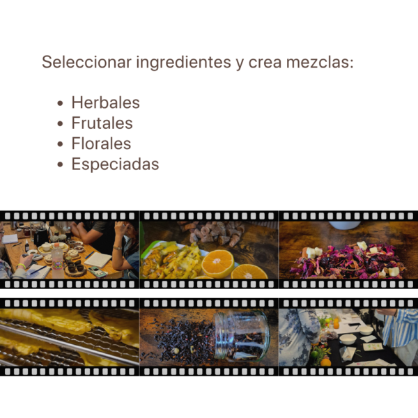 rea tu marca de tisanas