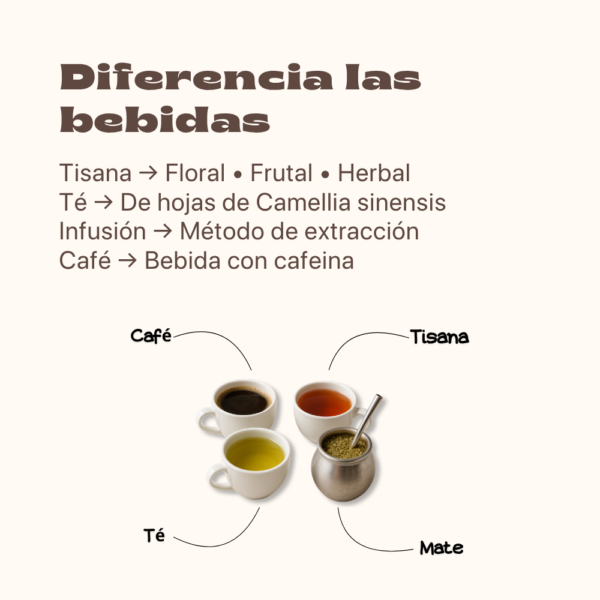 rea tu marca de tisanas
