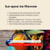 De fruta a refresco