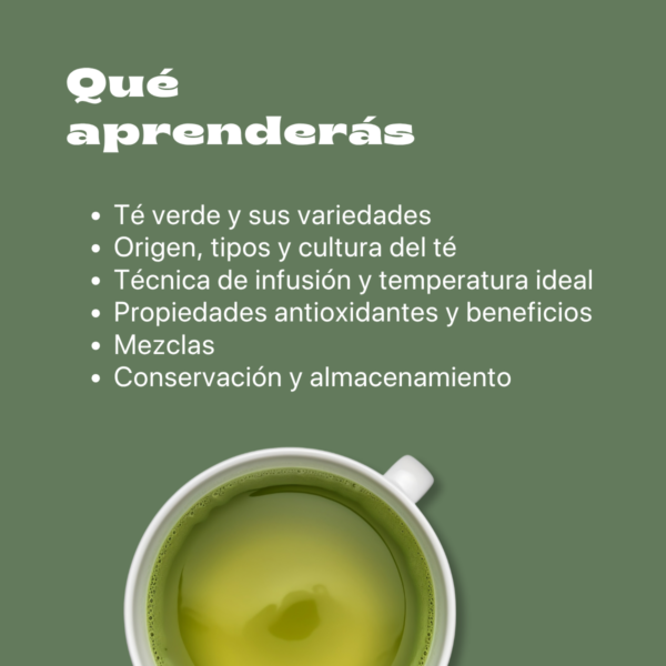 Experiencia Té Verde & Matcha
