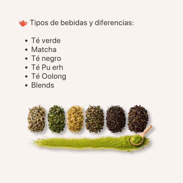Experiencia Té Verde & Matcha