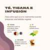 El Arte de una Buena Infusión. Café | té | mate