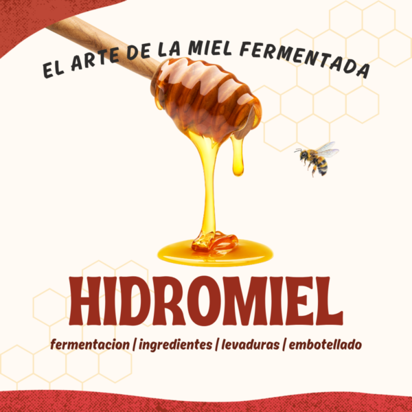 40 Prepara la bebida de los dioses