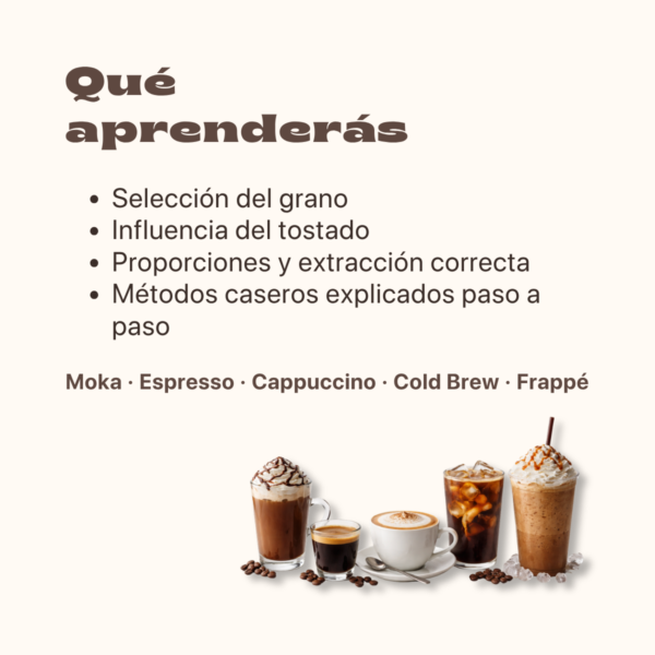 Entiende el mundo del café