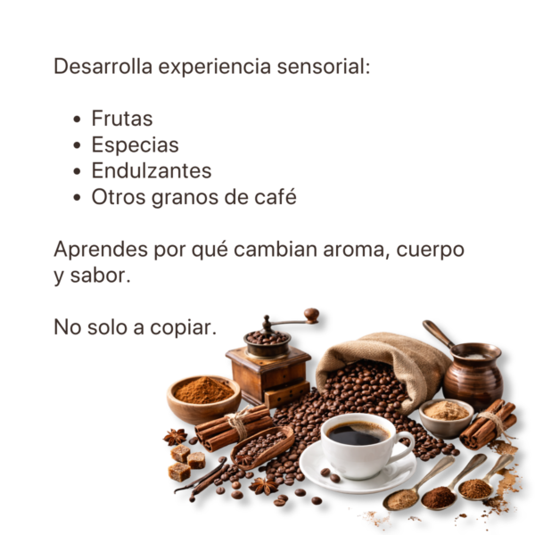 Entiende el mundo del café