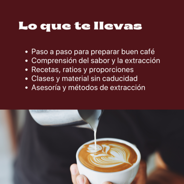 Entiende el mundo del café