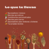Crea tus propios condimentos caseros
