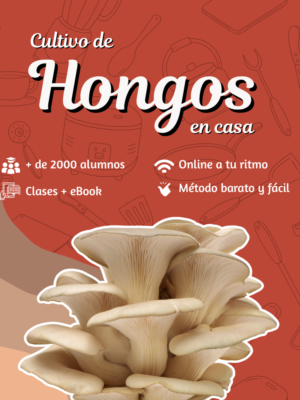 Cultiva tus propios hongos en casa