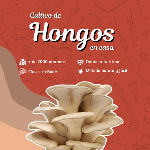 Cultiva tus propios hongos en casa