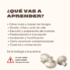 Cultiva tus propios hongos en casa
