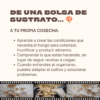 Cultiva tus propios hongos en casa